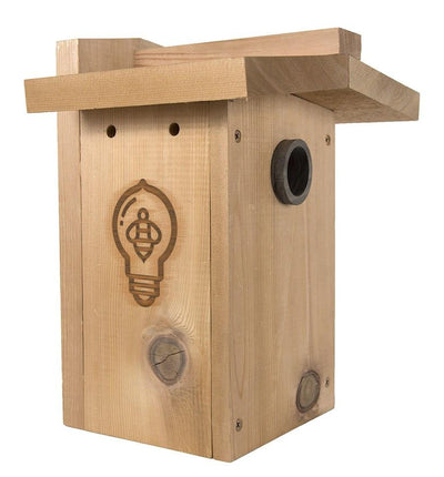 Western red ceder songbird house