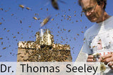 Dr. Thomas Seeley