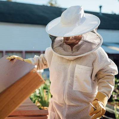 ventilated full body bee suit 