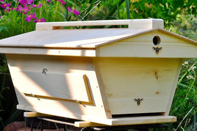 Golden Mean Hive with Peaked Roof