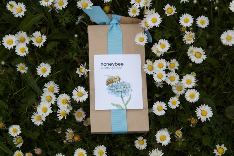 image of honeybee scatter garden