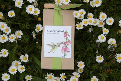 image of hummingbird scatter garden