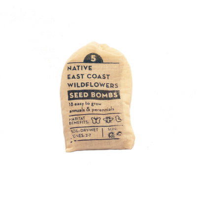 East coast wildflowers regional seedbomb