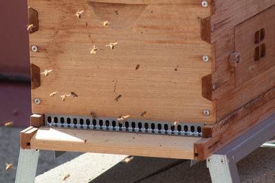 stainless steel langstroth hive mouse guard on beehive