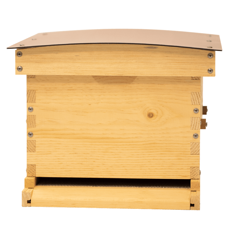 Deep Standard Langstroth for beekeeping with copper composite roof