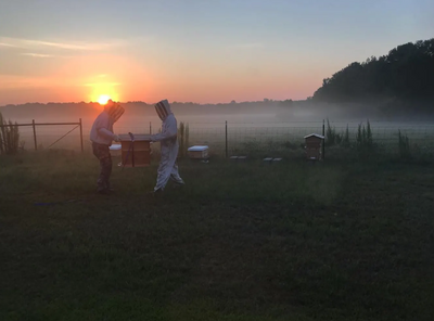 BEEKEEPER PROFILE: Aaron Jennings